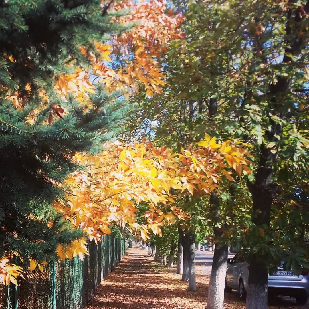 Покровське — слайд 5