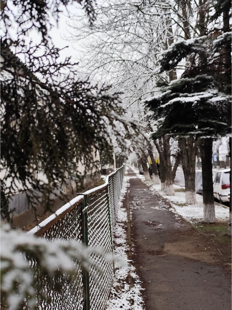 Те що я люблю